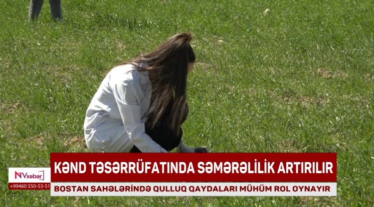 Kənd təsərrüfatında səmərəlilik artırılır<font color=red> - VİDEO</font>