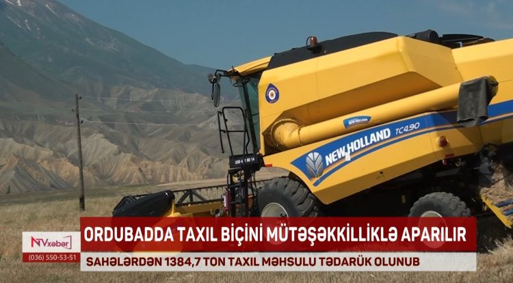 Ordubadda taxıl biçini mütəşəkkil aparılır<font color=red> - VİDEO</font>