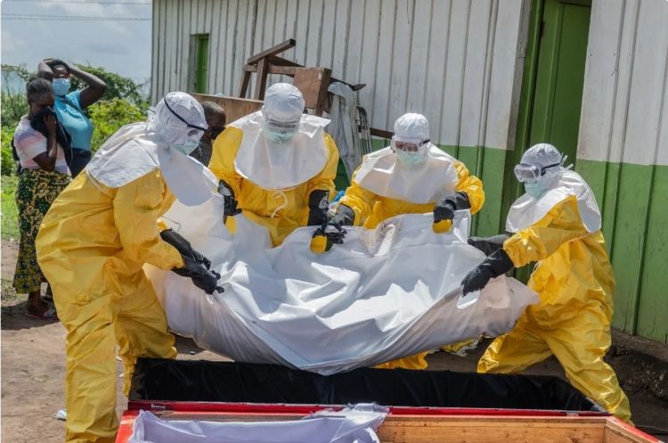 Konqoda eboladan ölənlərin sayı 490-ı ötüb