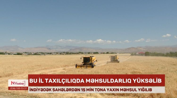Naxçıvanda indiyədək sahələrdən 15 min tona yaxın məhsul yığılıb<font color=red> - VİDEO</font>