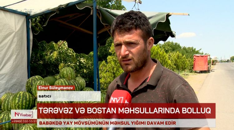 Babək rayonunun tərəvəz və bostan məhsulları bazarlarda bolluq yaradır<font color=red> - VİDEO</font>