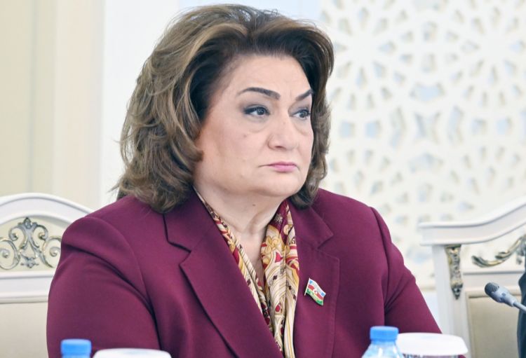 Hicran Hüseynova: Məqsəd uşaqların müasir texnologiyalardan təhlükəsiz istifadəsi üçün mühit yaratmaqdır
