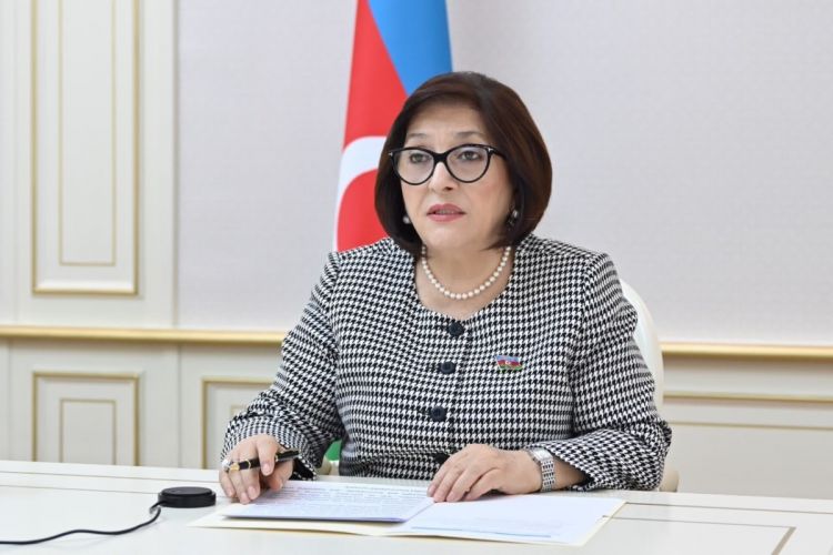 Sahibə Qafarova Pİ-nin konfransında Ermənistanın işğalı nəticəsində ətraf mühitə vurulan ziyandan danışıb