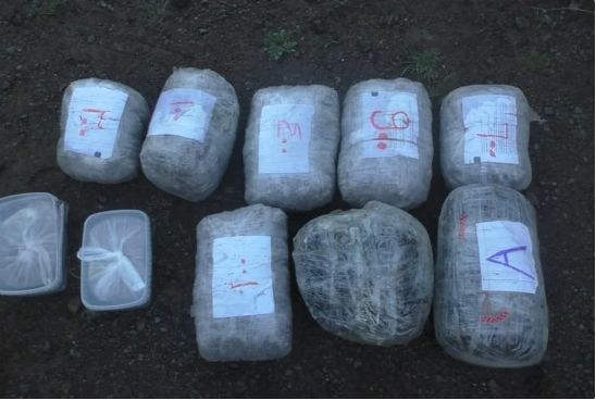 Bu ilin 6 ayında 5 tondan çox narkotik aşkarlanıb