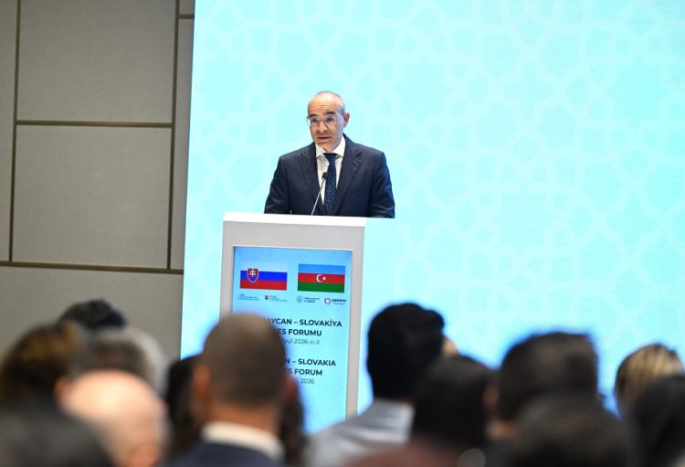 İqtisadiyyat naziri: Slovakiya şirkətlərinin azad edilmiş ərazilərimizin bərpasına töhfə verməkdə güclü maraq göstərməsi sevindiricidir