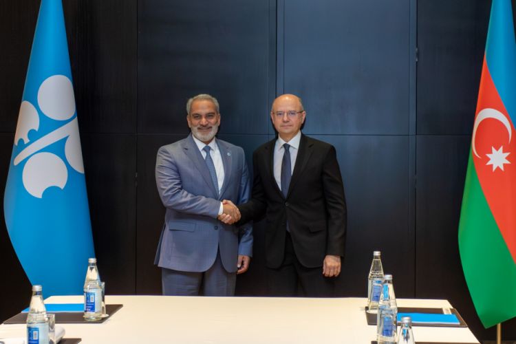 OPEC+ əməkdaşlığının gələcək inkişaf perspektivləri dəyərləndirilib<font color=red> - FOTOLAR</font>