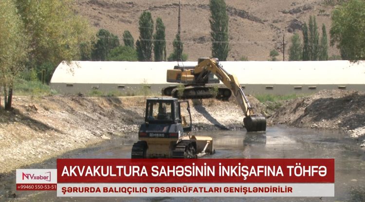 Şərurda balıqçılıq təsərrüfatları genişləndirilir<font color=red> - VİDEO</font>