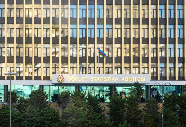 Bu ilin beş ayında doğulanların və ölənlərin sayı məlum olub