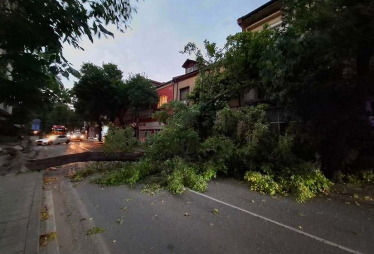 Bolqarıstanda güclü fırtına daşqınlara və elektrik kəsintisinə səbəb olub