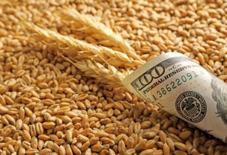 Dünya bazarında taxılın qiyməti artıb