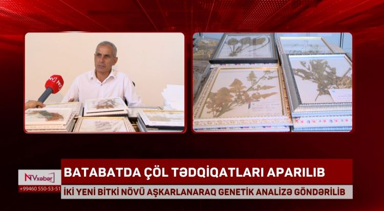 Batabatda çöl tədqiqatları aparılıb<font color=red> - VİDEO</font>