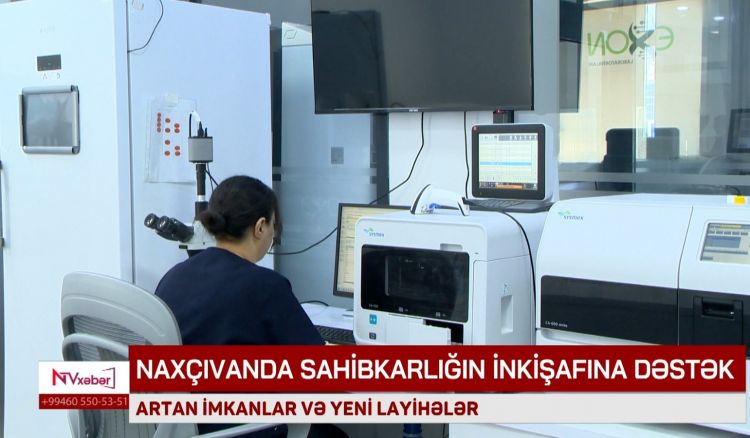 Naxçıvanda sahibkarlığa yeni dəstək: İmkanlar genişlənir<font color=red> - VİDEO</font>