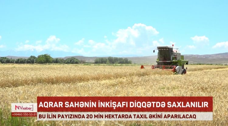 Naxçıvanda payız mövsümündə 20 min hektarda taxıl əkilməsi planlaşdırılır<font color=red> - VİDEO</font>