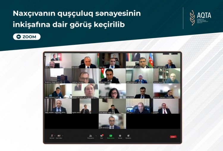 Naxçıvanda quşçuluq sənayesi inkişaf etdirilir