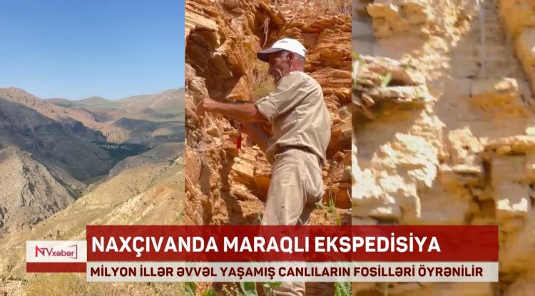 Naxçıvanda maraqlı elmi ekspedisiya: Qədim canlıların izləri araşdırılır<font color=red> - VİDEO</font>