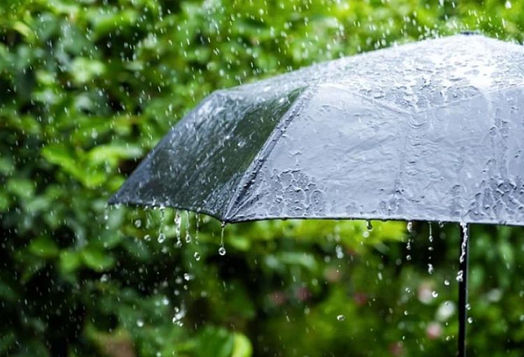Paytaxtda hava əsasən yağmursuz, bəzi rayonlarda isə yağıntılı olacaq
