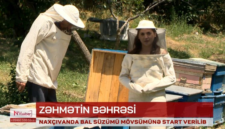 Naxçıvanda bal süzümü mövsümünə start verilib<font color=red> - VİDEO</font>