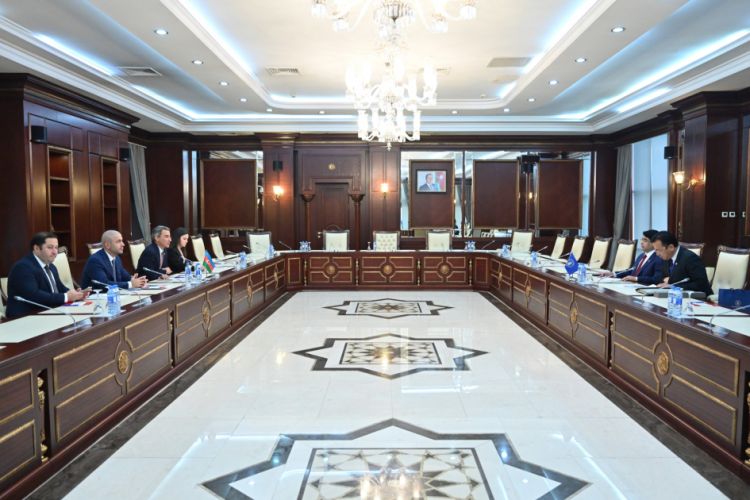 Azərbaycan parlament diplomatiyası beynəlxalq əməkdaşlığın genişlənməsinə töhfə verir<font color=red> - FOTOLAR</font>