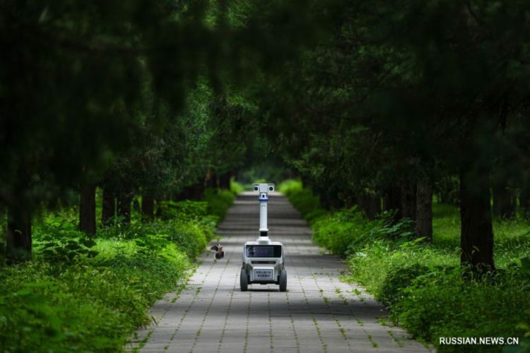 Pekin parklarında robot “əməkdaşlar” peyda olub<font color=red> - FOTOLAR</font>