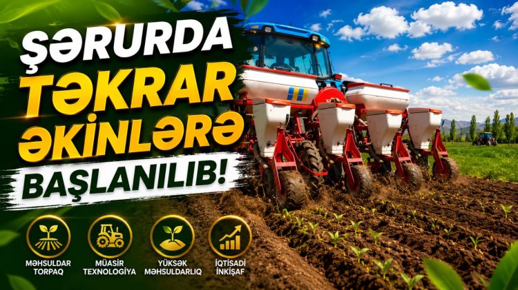 Şərurda təkrar əkinlərə başlanılıb<font color=red> - VİDEO</font>