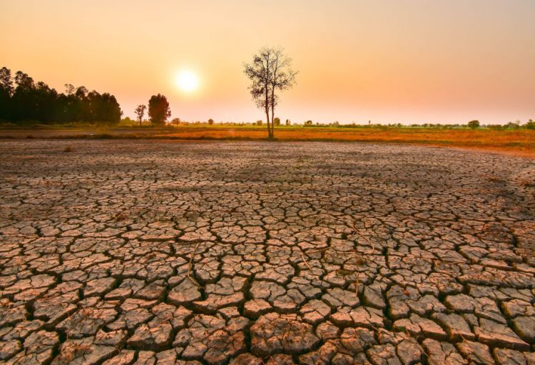 NOAA: El-Nino hadisəsinin rekord həddə çatma ehtimalı yüksəkdir