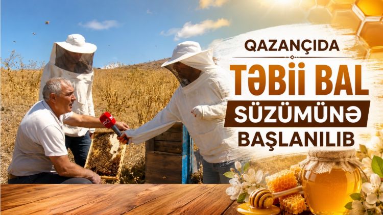 Qazançıda təbii bal süzümünə başlanılıb<font color=red> - VİDEO</font>