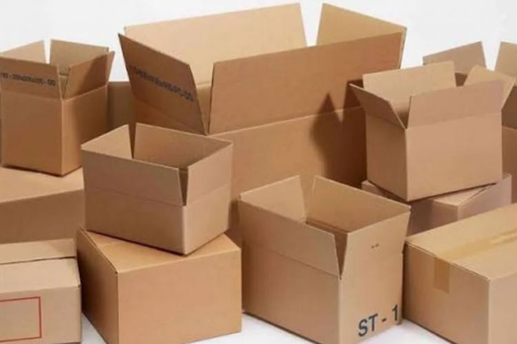 Naxçıvanda kağız və karton istehsalı 78 % artıb