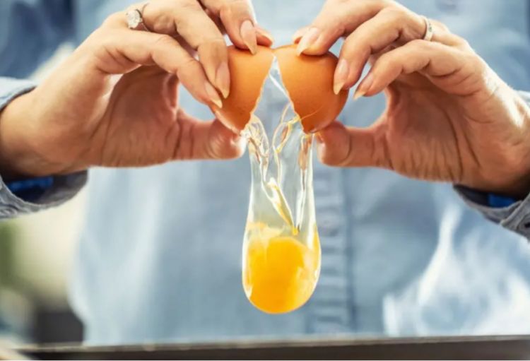 Böyük Britaniyada salmonellaya yoluxanların sayı 500-ə yaxınlaşıb