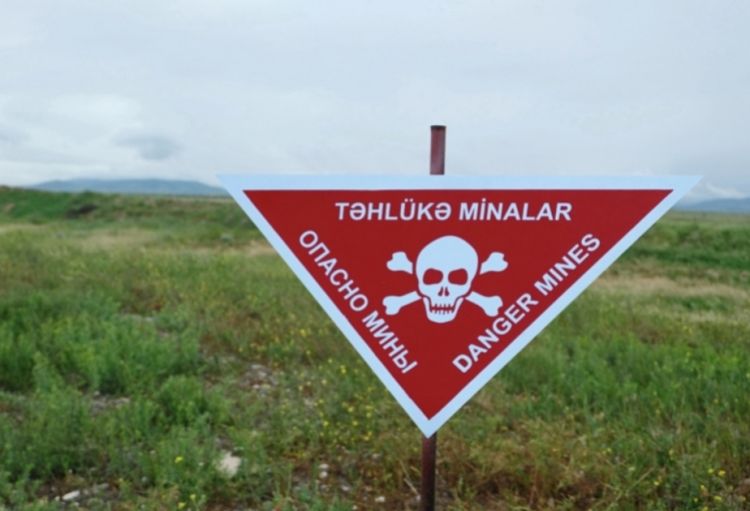 Azad olunmuş ərazilərdə təhlükəsizliyi artırmaq üçün minaaxtaran itlər cəlb olunacaq
