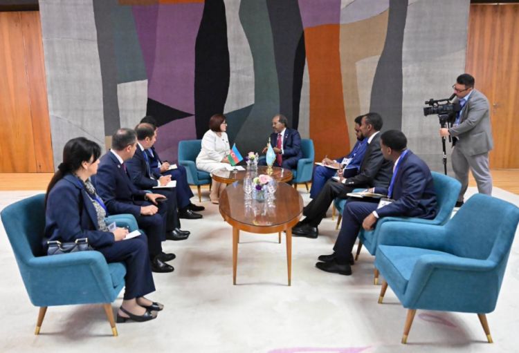 Milli Məclisin sədri Sahibə Qafarova Somali Prezidenti ilə görüşüb