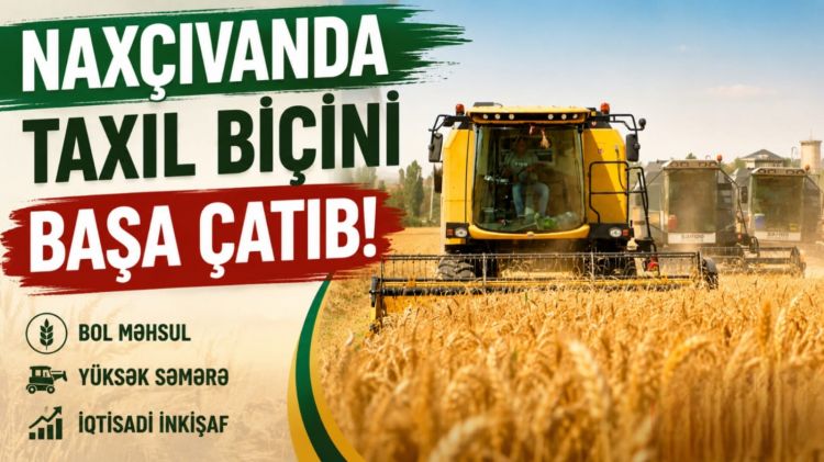 Naxçıvanda taxıl biçini başa çatıb<font color=red> - VİDEO</font>