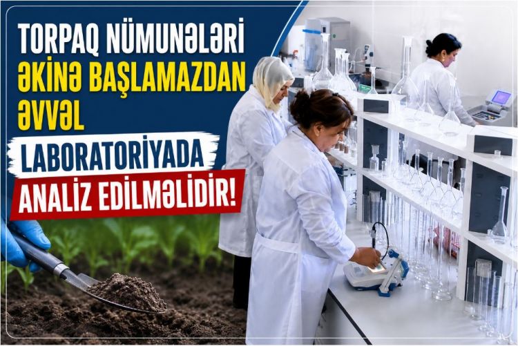 Torpaq nümunələri əkinə başlamazdan əvvəl laboratoriyada analiz edilməlidir<font color=red> - VİDEO</font>
