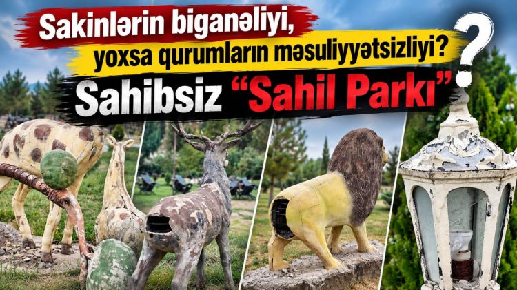 Sakinlərin biganəliyi, yoxsa qurumların məsuliyyətsizliyi?<font color=red> - VİDEO</font>