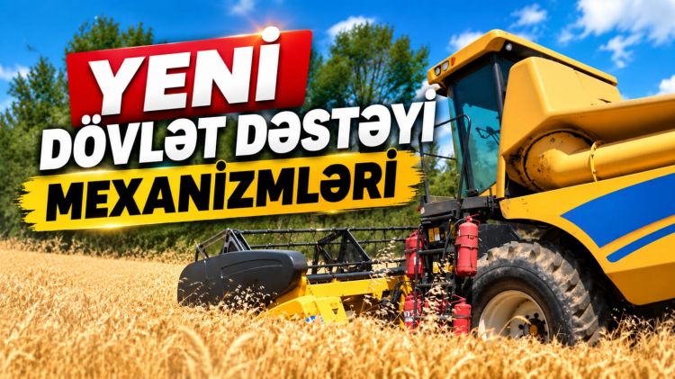 Yeni dövlət dəstəyi mexanizmləri təsdiq edilib<font color=red> - VİDEO</font>