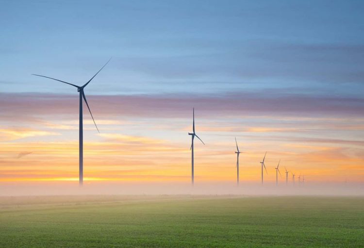 Almaniyada elektrik enerjisi istehsalında bərpaolunan enerjinin payı rekord həddə çatıb
