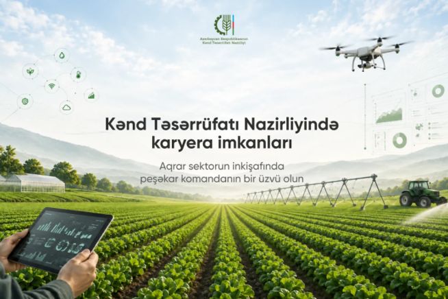 KTN-də Mərkəzləşdirilmiş İşə Qəbul Portalı istifadəyə verilib
