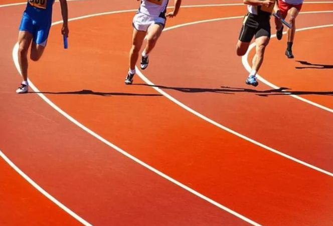 Naxçıvanda tanınmış atlet dələduzluqda təqsirli bilinərək həbs edilib