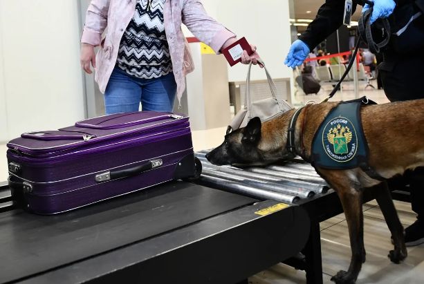 Moskva aeroportunda 95 min dollar dəyərində zinət əşyalarını gizlədən qadın saxlanılıb