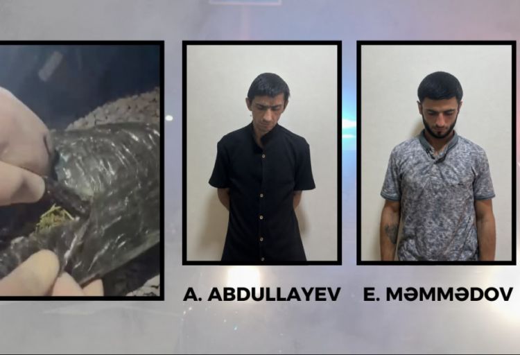Göyçayda narkotiklərin satışı ilə məşğul olmaqda şübhəli bilinən şəxslər saxlanılıblar