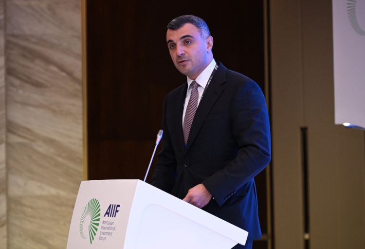 Taleh Kazımov: Azərbaycanın strateji valyuta ehtiyatları 41 aylıq idxalı qarşılamağa kifayətdir