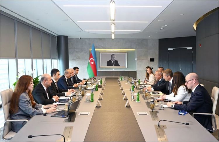Azərbaycan və "Carlsberg Group" pivə sənayesində tənzimləməni müzakirə edib