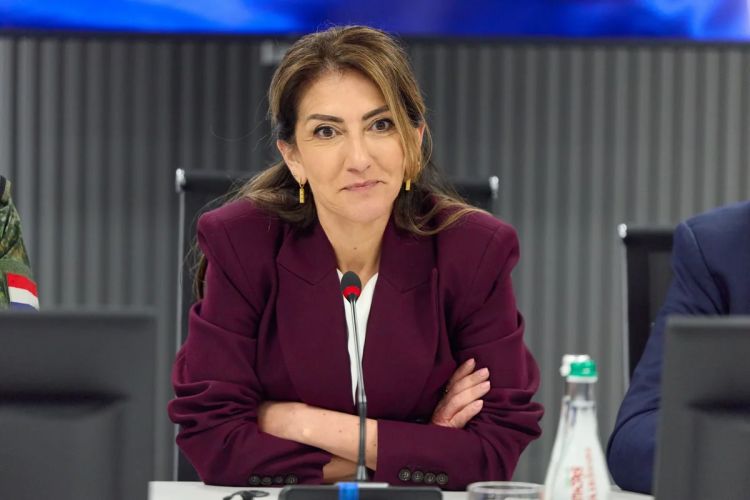 Dilan Yeşilgöz-Zegerius: Niderland Ukrayna hərbçilərinin təliminə 10 milyon avro ayıracaq