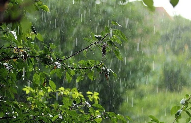 Oktyabrda havanın orta aylıq temperaturu normadan bir qədər yüksək olacaq