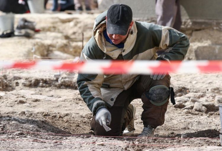 Krit adasında 8,5 milyon illik kərgədan kəlləsi aşkarlanıb