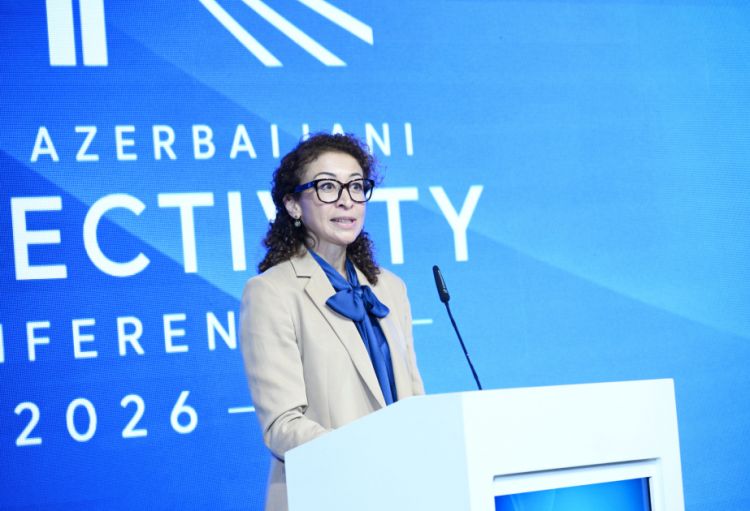Almaniya və Azərbaycan birgə layihələrin hazırlanması imkanlarını genişləndirmək niyyətindədir