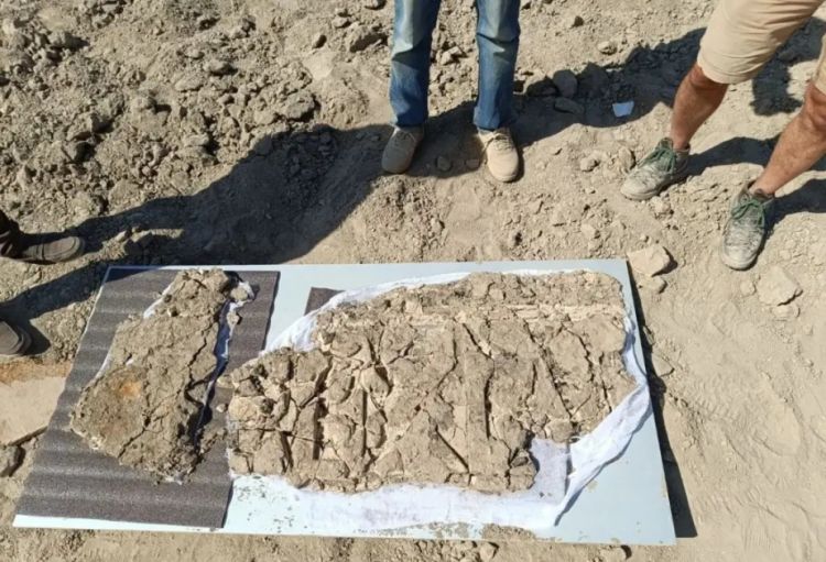 Buxarada Samanilər dövrünə aid məscid bəzəkləri aşkarlanıb