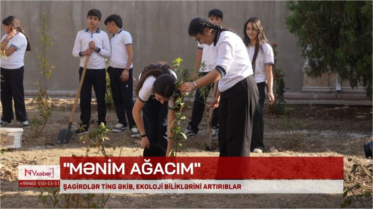 Naxçıvanda şagirdlər ting əkib, ekoloji biliklərini artırıblar<font color=red> - VİDEO</font>