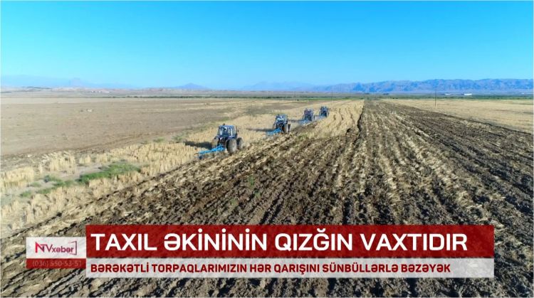 Naxçıvanda payızlıq taxıl əkinləri genişlənir<font color=red> - VİDEO</font>