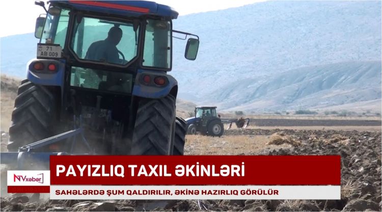 Şahbuzda payızlıq taxıl əkini aparılır<font color=red> - VİDEO</font>