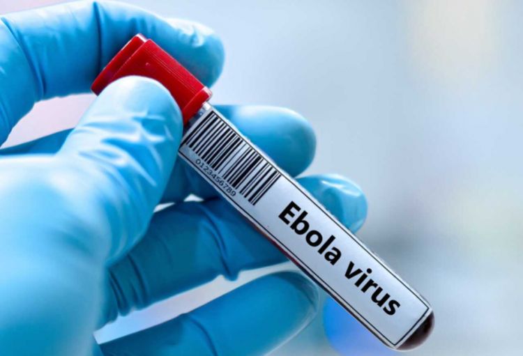 Konqo Demokratik Respublikasında Ebola virusunun yayılma ərazisi genişlənir